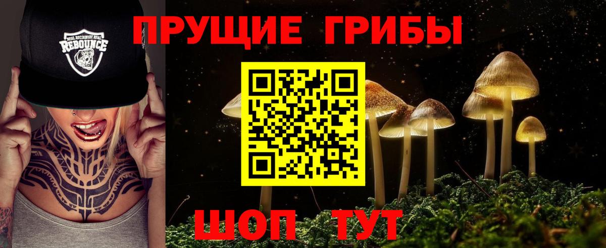 Галлюциногенные грибы Psilocybine cubensis Владивосток
